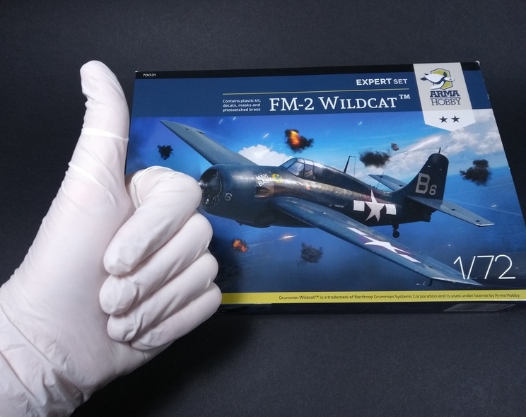 wildcat - [Concours ”la guerre du pacifique 1941-1945 ”] FM-2 Wildcat- Arma Hobby - 1/72 Img_1388