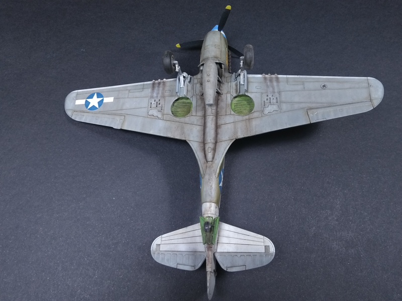 P-40N Special Hobby 1/72 Img_3216