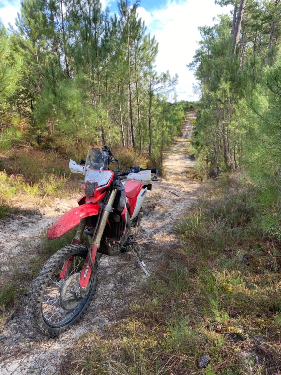 Honda CRF450 L ????? - Page 18 Img_6011