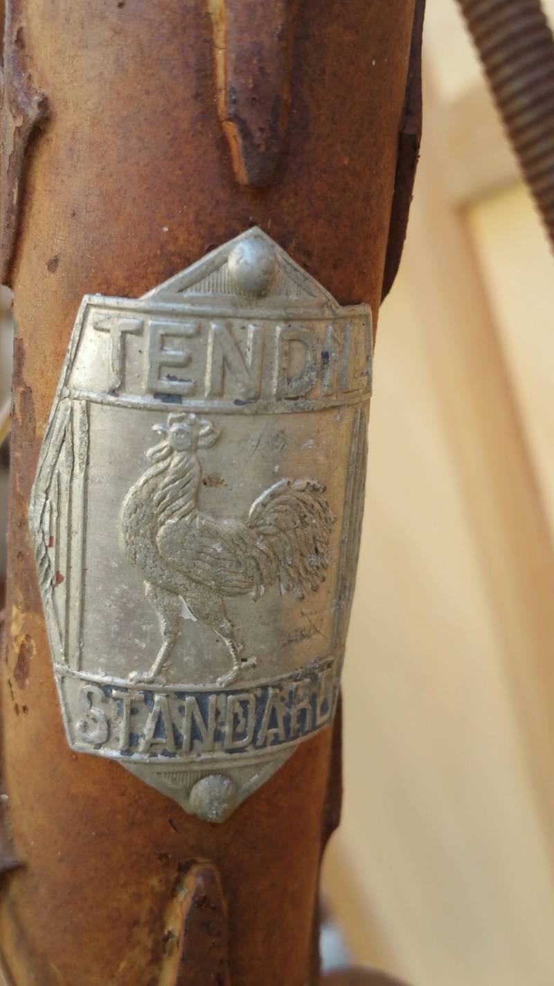 TENDIL standard  Homme Tendil18