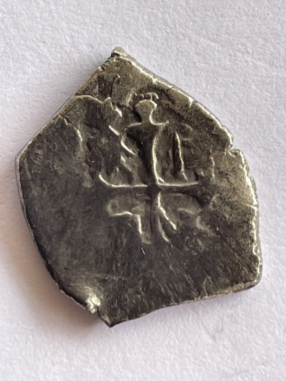 Porción de moneda de plata Image25