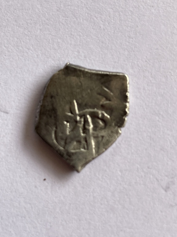 Porción de moneda de plata Image26