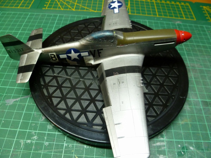 P51 Eduard au 1/48 P1070621