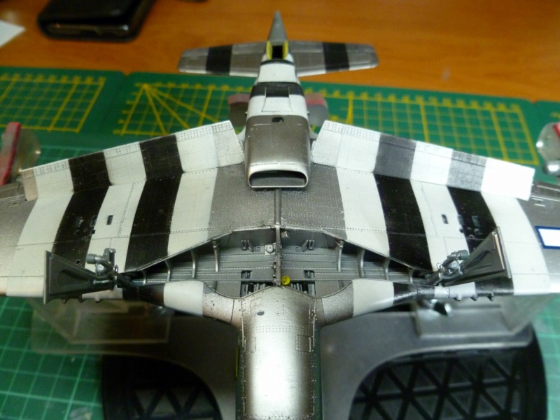 P51 Eduard au 1/48 P1070626