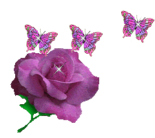 mundifleur 000c7011