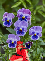 mundifleur Pensee13