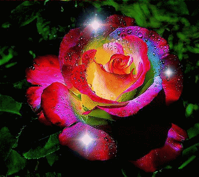 mundifleur Unname10