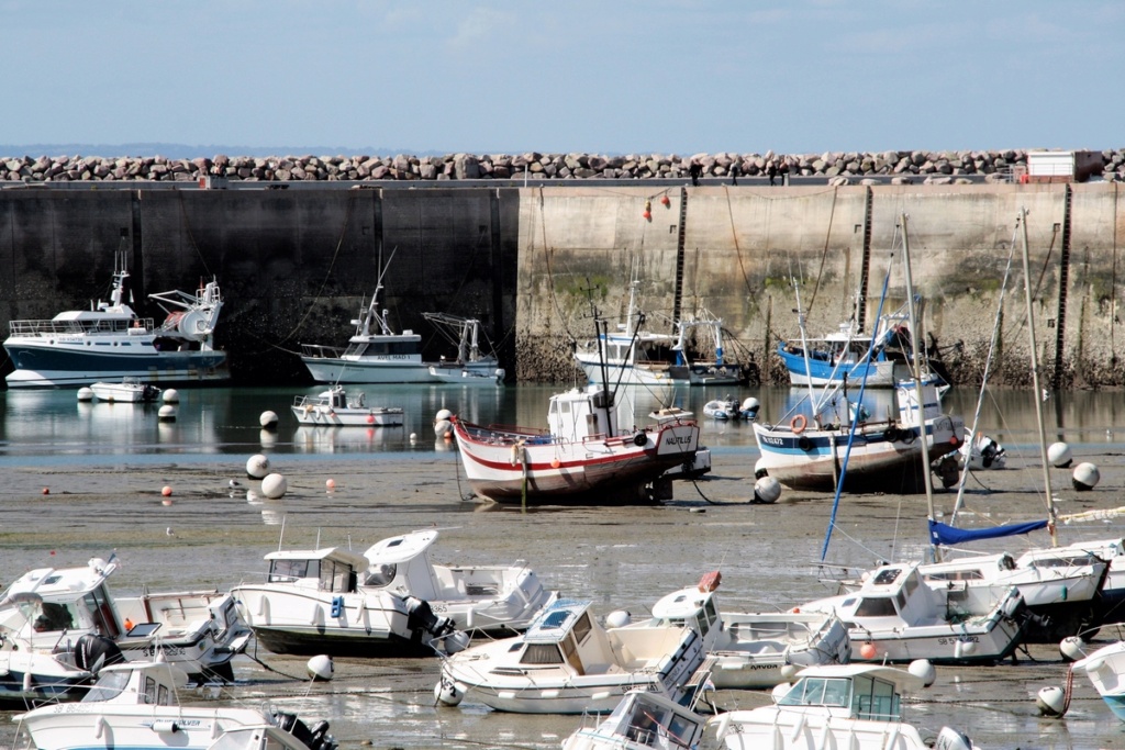 [Vie des ports] Quelques bateaux de pêche (sur nos côtes Françaises) - Page 19 _mg_1217