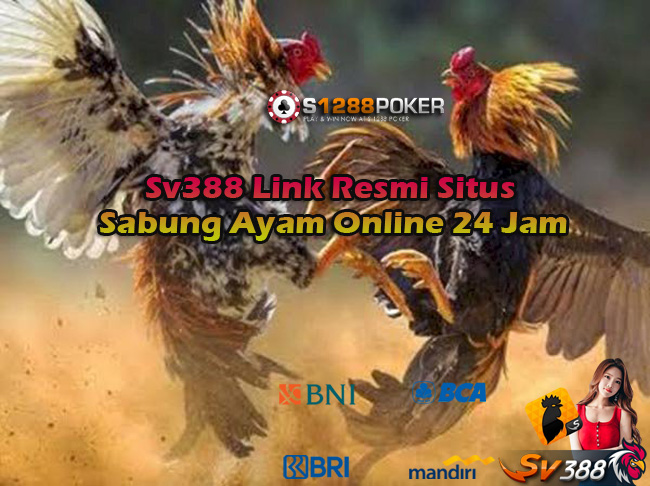 Sv388 Link Resmi Situs Sabung Ayam Online 24 Jam Ac10
