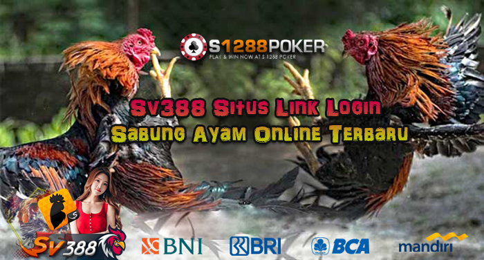 Sv388 Situs Link Login Sabung Ayam Online Terbaru Ao11