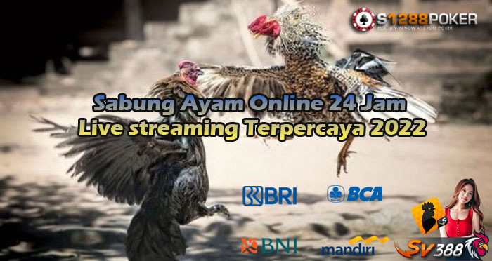 Sabung Ayam Online 24 Jam Live streaming Terpercaya 2022 Av10