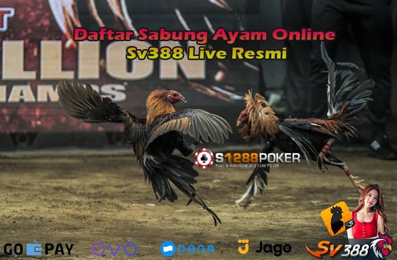 Daftar Sabung Ayam Online Sv388 Live Resmi F10