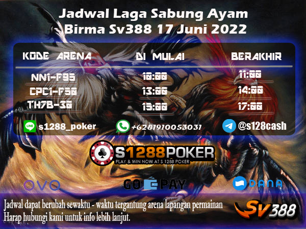 Jadwal Laga Sabung Ayam Birma Sv388 17 Juni 2022 Sv388_13