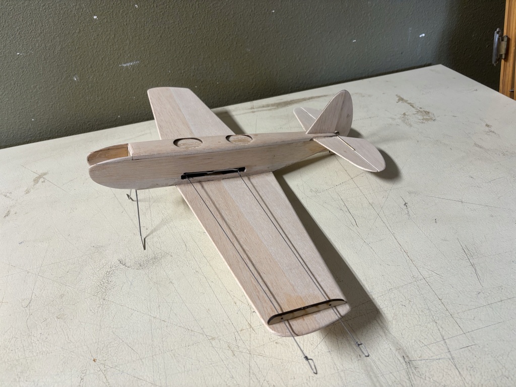 My PT-19 COX Clone design/kit Img_9911