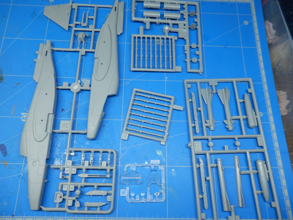 [Zvezda] 1/72 - Sukhoi Su-39 Frogfoot  P7250020