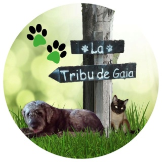 La Tribu De Gaia  31479711