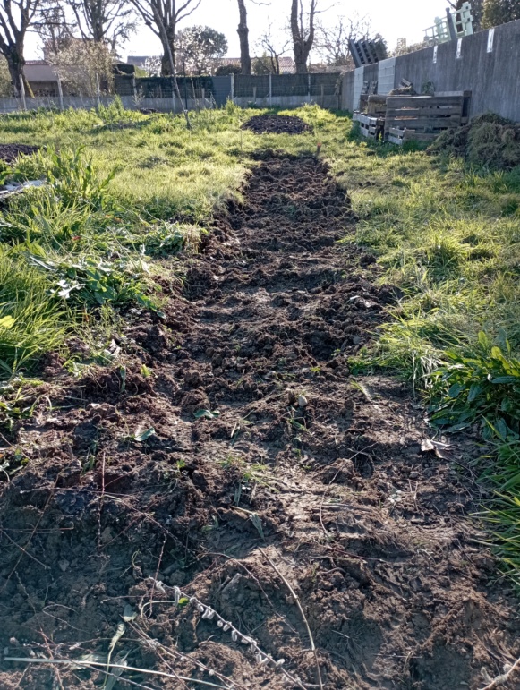 JARDIN PARTAGÉ - Ma parcelle de jardin 17111310