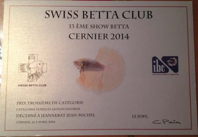 13me Swiss Betta Show AVRIL 2014: Après ! - Page 2 Certif10