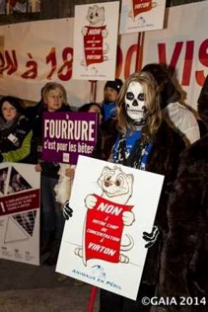 Belgique:Manifestation à Virton contre un élevage de visons  17792512