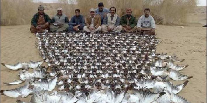 le Prince Fahd Bin Sultan tue 2000 oiseaux menacés d’extinct Le-pri10