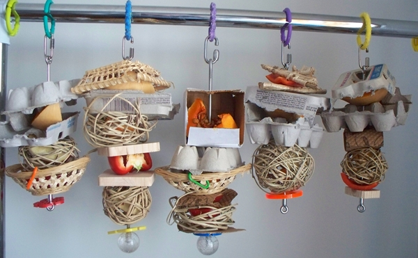 Petit Oiseau, Piwi, Plum & Toufy. Kabobs10