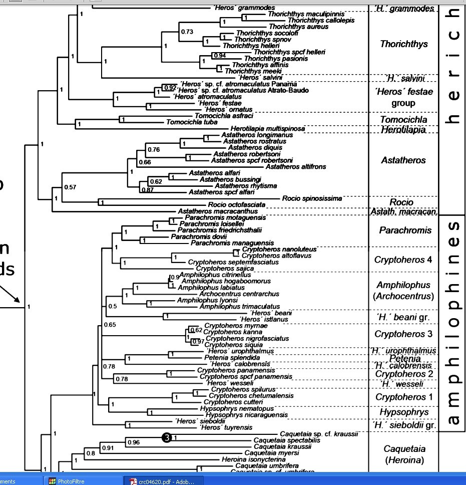 vertebrate zoology Amc210