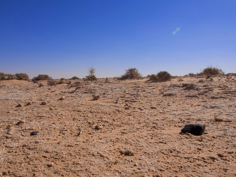 Chasse à la météorite en Tunisie Pmp02_10