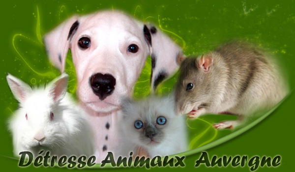 Dtresse Animaux Auvergne Association loi 1901