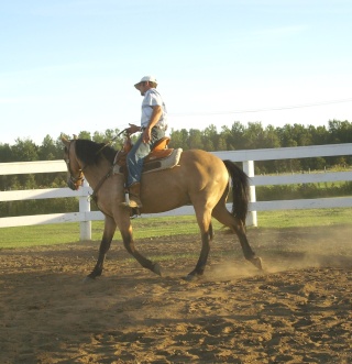 Spirit, Qh, buckskin Dsci0013