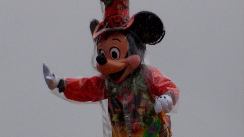 notre petit mickey - Page 10 13798310