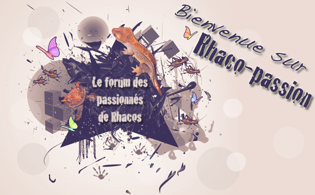 rhaco-passion Bannie10