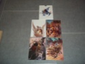 (Estim) Lithographie, Poster, Objet de Pub Final Fantasy 100_3532