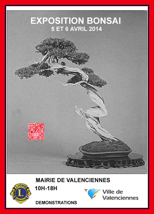 3e édition de l’expo bonsaï de Valenciennes. Affich10