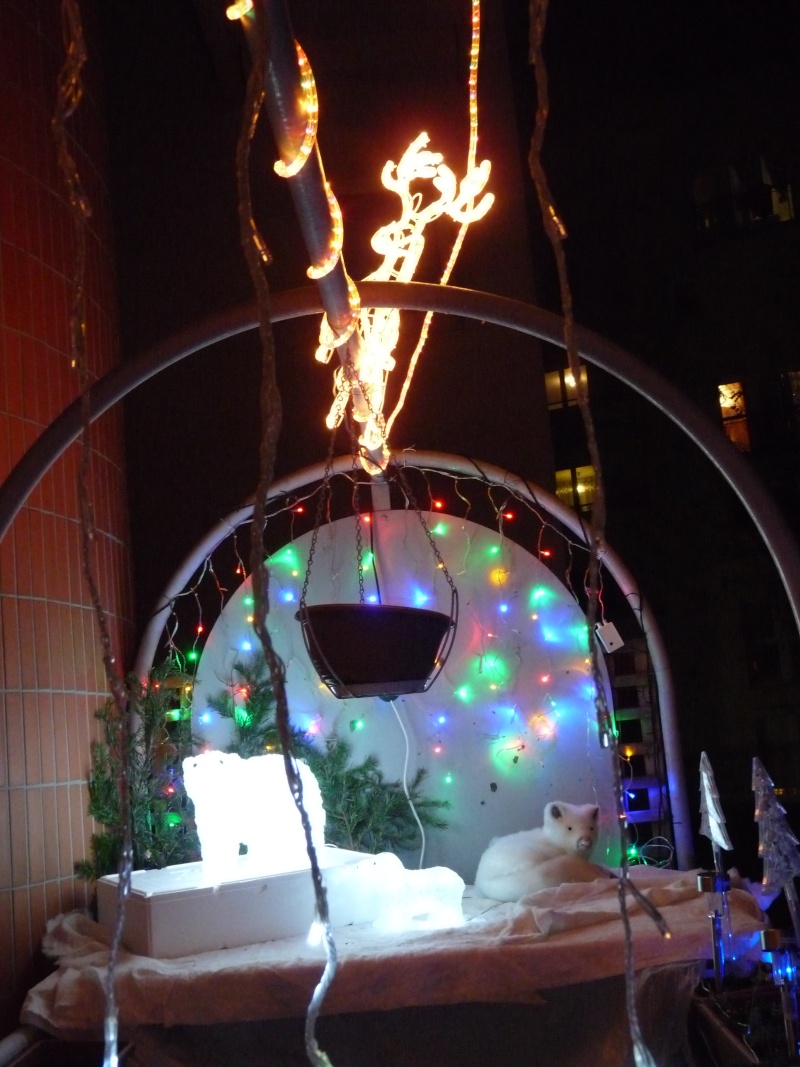 les illuminations de Noël Daco_n16