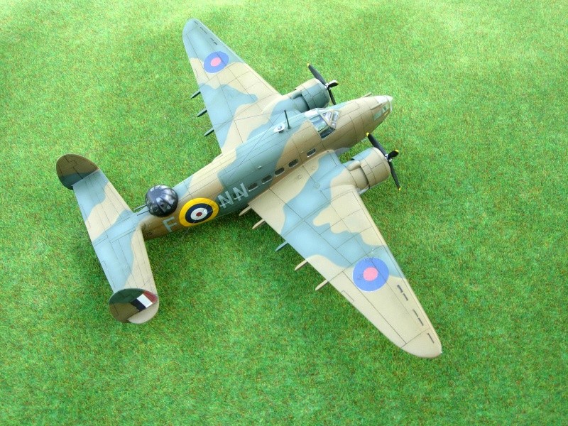 Lockheed HUDSON Mk IV  N° 8 squadron RAAF (Italeri) Dscn1040