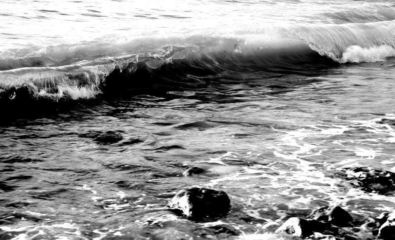 Vagues et lames Surf_s10