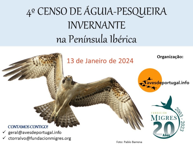 IV censo de águia-pesqueira invernante na Península Ibérica - 13 de Janeiro 4_cart10
