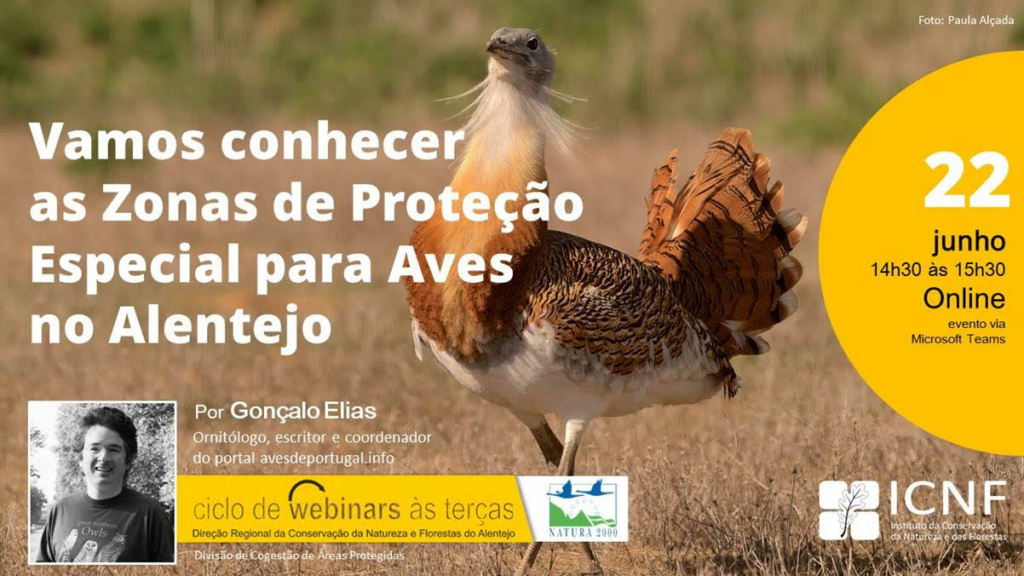 Webinário ICNF - "Vamos conhecer as Zonas de Proteção Especial para Aves no Alentejo" Cartaz10