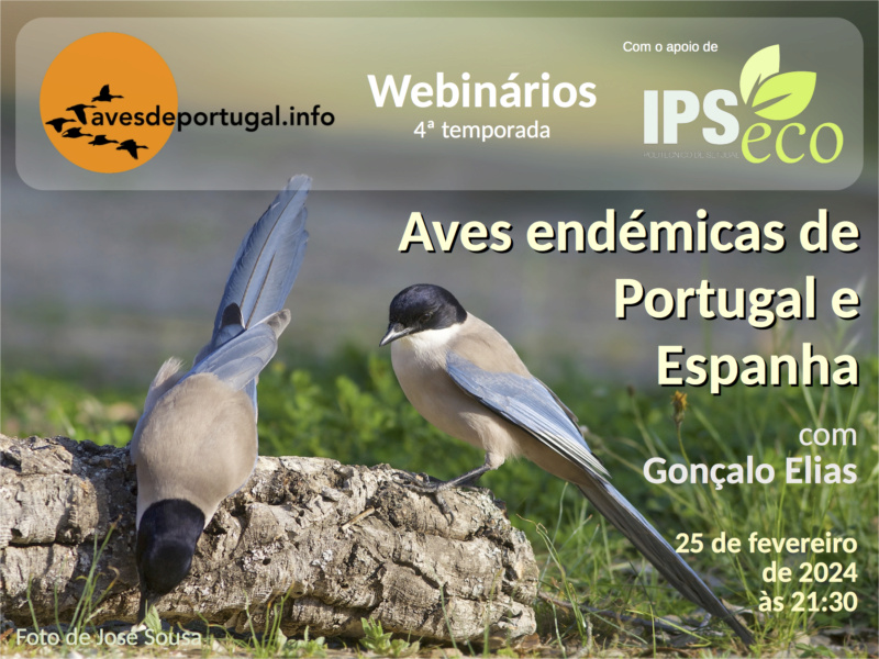 Webinário "Aves endémicas de Portugal e Espanha" Cartaz52