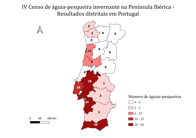 IV censo de águia-pesqueira invernante na Península Ibérica - 13 de Janeiro Mapa_r11