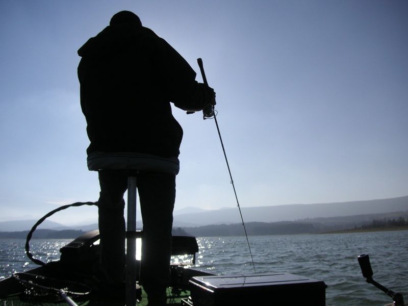 cherche photo pour illustration d'un article sur la pêche à la verticale. Pict0710
