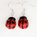 Boucles d'oreilles en fimo Img_8914