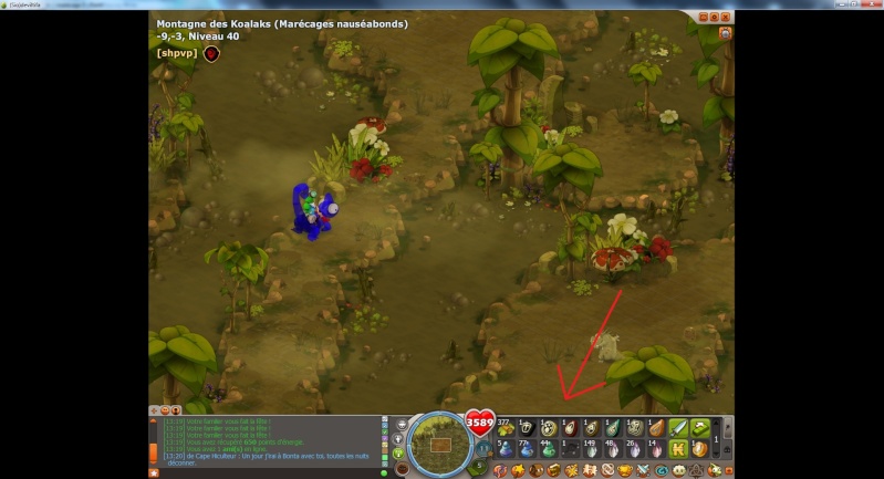 Tutoriel : Obtention du Dofus Émeraude Chemin25