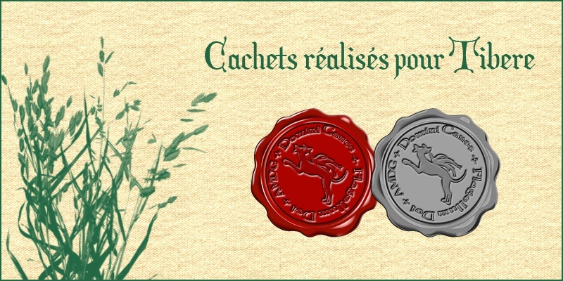 Parchemins - Cachets - Médailles - Insignes et autres réalisations Tibere10