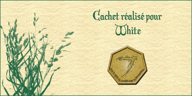 Parchemins - Cachets - Médailles - Insignes et autres réalisations White10