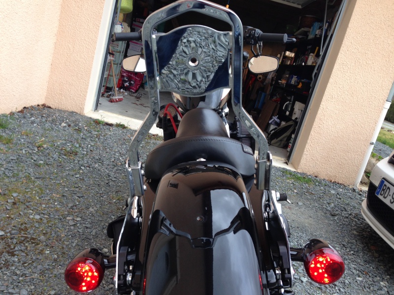 Harley Davidson Sporster 1200 Forty Eight avec quelques modifs ... - Page 5 Img_2614