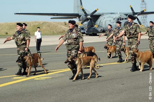 Les Maîtres Chiens de l'Armée de l'Air Les_cr10