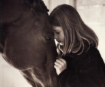 L'Homme qui murmurait a l'oreille des chevaux Small_27