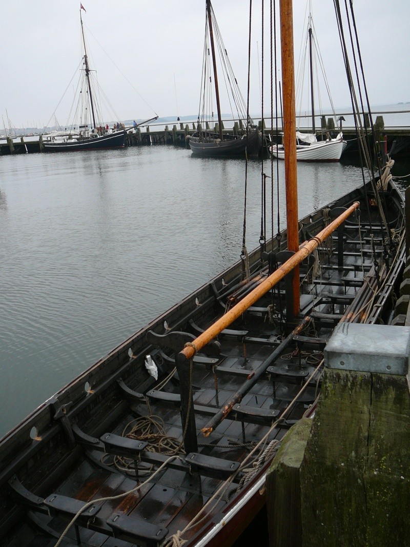 rassemblement navires viking a Roskilde-retour du Havingsten P1040319
