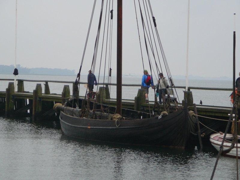 rassemblement navires viking a Roskilde-retour du Havingsten P1040320